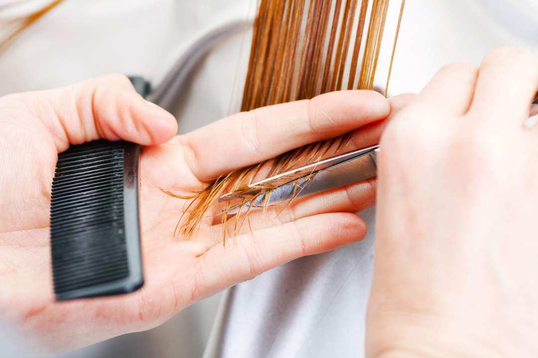 women's haircuts cultivate beauty lounge